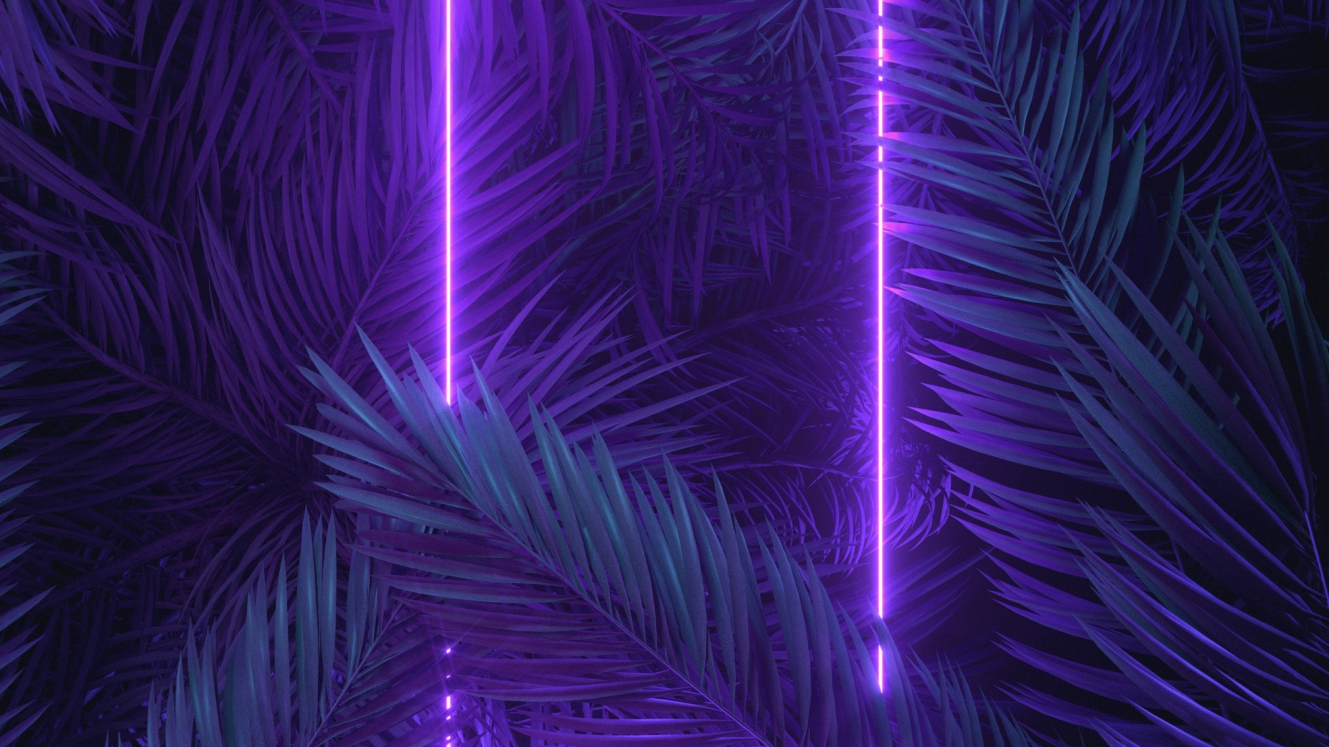 Purple Neon Palm Leaves Wallpaper – free HD wallpaper