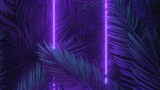 purple-neon-palm-leaves-wallpaper-2560×1440