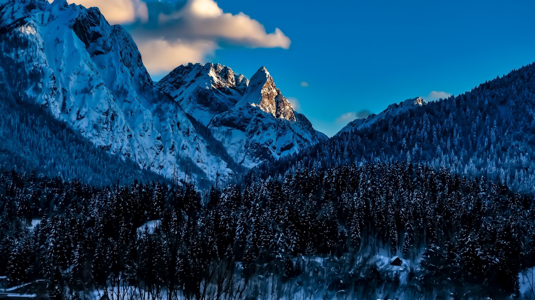 Snowy Mountain Forest 5K Wallpaper
