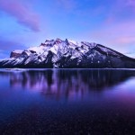 Nature collection preview