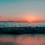 Nature collection preview