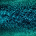Nature collection preview