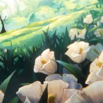Anime collection preview