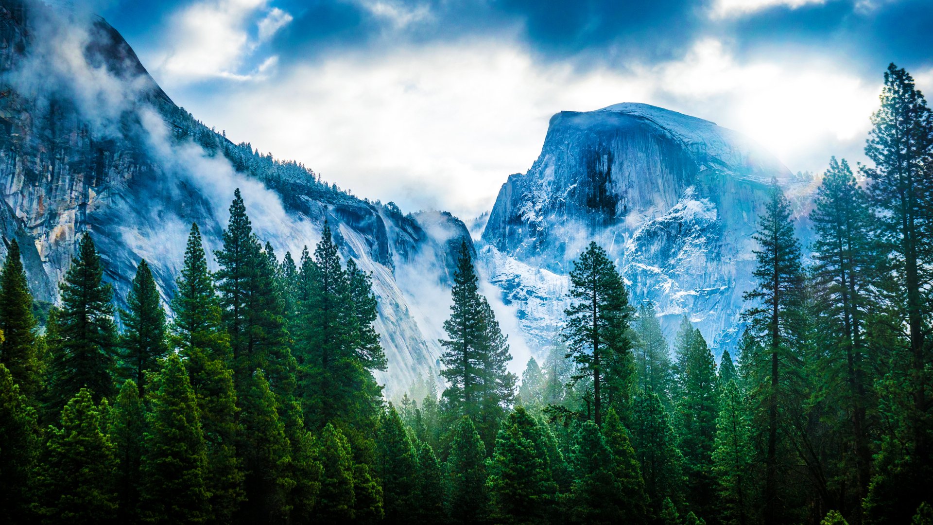 Yosemite Half Dome Forest Wallpaper