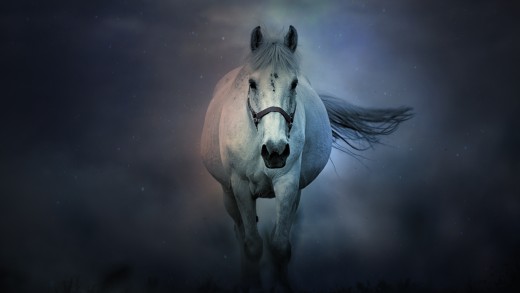 White Horse Blue Mist Wallpaper